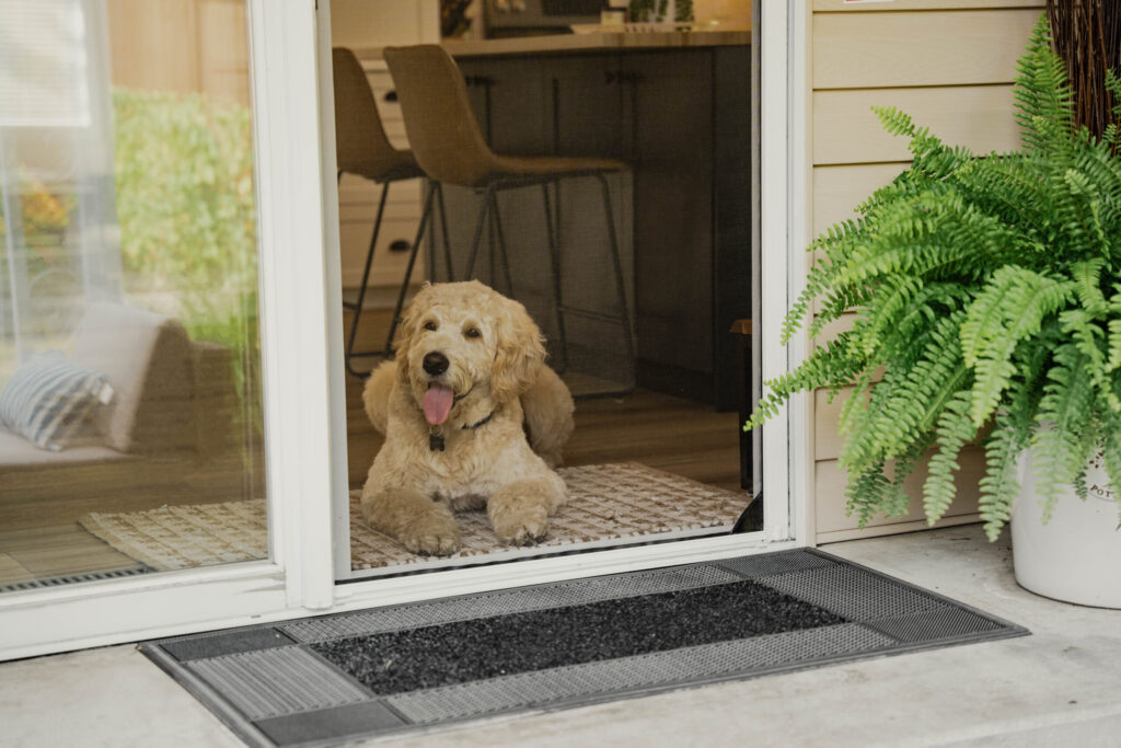 4 Reasons why Phantom Screens make your pets lives better