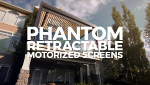 Motorized Screens
