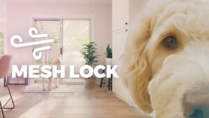 Door Screens with Mesh Lock